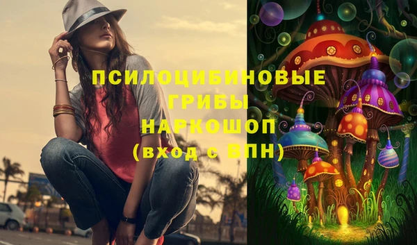 прущая мука Алзамай