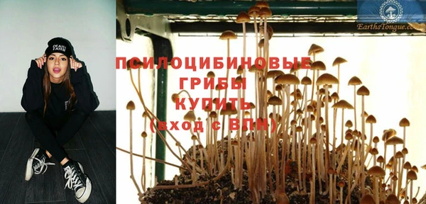 прущая мука Алзамай
